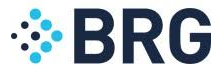 Berkeley Research Group